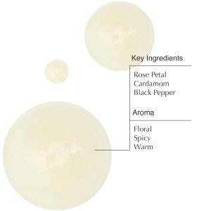 Aesop A Rose By Any Other Name Body Cleanser Refill