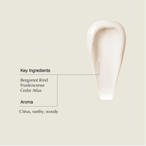 Aesop Shampoo & Conditioner Set | Hydrates. Softens. & Adds Shine