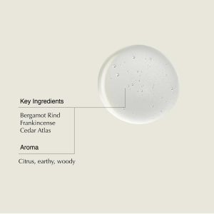 Aesop Shampoo + Refill | Soften Hair. Restore Shine