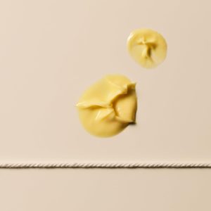 Aesop Camellia Nut Facial Hydrating Cream