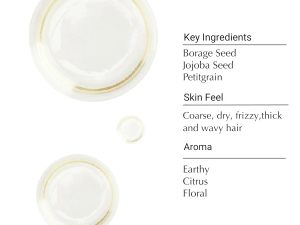 Aesop Shine Hair and Beard Oil