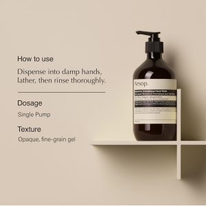 Aesop Reverence Aromatique Hand Wash